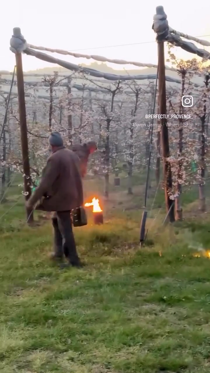 Дымление сада весной для защиты от заморозков — Матур Сад, Казань